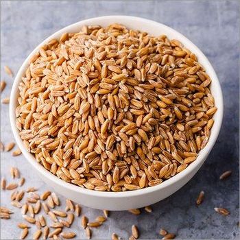 DURUM WHEAT from Honest Origin Good Foodstuff Trading LLC DURUM WHEAT - Honest Origin Good Foodstuff Trading LLC - United Arab Emirates